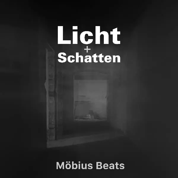 Cover: Licht + Schatten – Steffan Koch